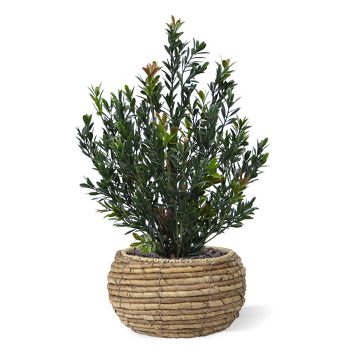 Maxifleur Kunst Buxus Haagplant 50cm Groen/rood