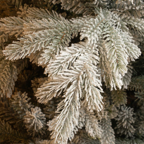 Black Box Trees Grimshaw Boom - Kerstboom met Frosted Sneeuweffect - Kerstversiering voor Binnen in Huis - Kunstboom met Scharnierconstructie - H215 x