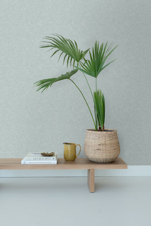 ESTAhome behang betonlook zeegroen - 53 cm x 10,05 m - 138237