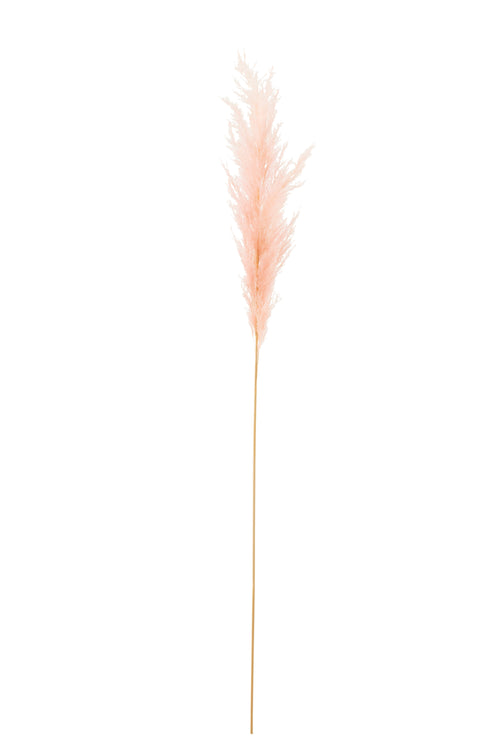 J-Line droogbloemen tak Pampas - gedroogd pluim - lichtroze - 12 st.