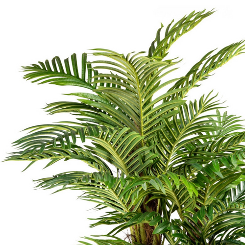 Flourify kunstplant - Palm met kokosstam - 160 cm