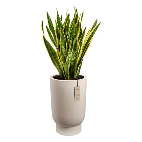 elho amber grail high 40 balanced beige | planter | Geschikt voor binnen en buiten
