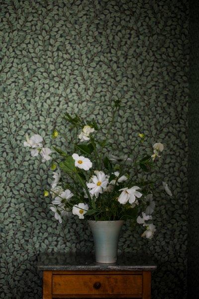 Borastapeter behang bladeren donkergroen - 53 cm x 10.05 m - 660373 - vtwonen shop