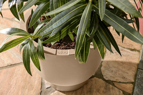 elho amber coupe 41 balanced beige | Bloempot |Premium statementdesign