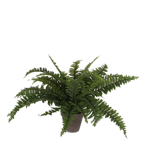 Mica Decorations Boston Varen Kunstplant in Bloempot Stan - H42 x Ø50 cm - Groen