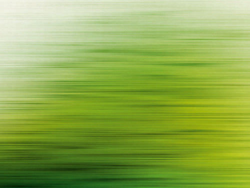 One Wall one Role fotobehang figuratief motief groen - 371 x 280 cm - AS-382611