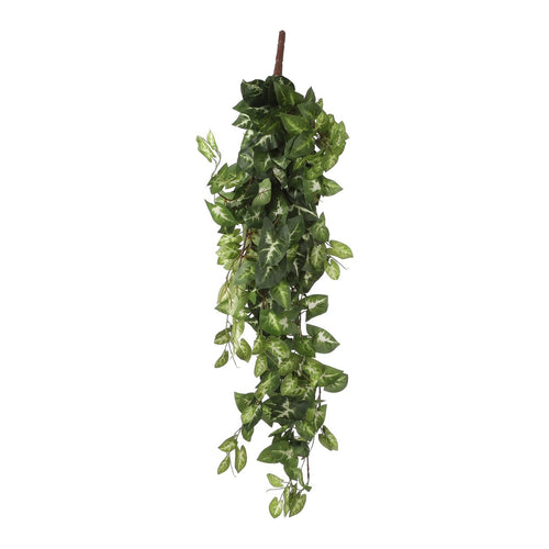 Mica Decorations Fittonia Kunst Hangplant - L15 x B30 x H80 cm - Groen