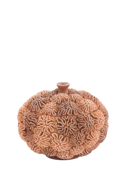 Light & Living deco box+deksel CORAL - Ø20x15.5cm - bruin - vtwonen shop