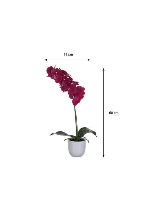 Mica Decorations Phalaenopsis Kunstplant in Bloempot Tusca - H60 x Ø16 cm - Paars