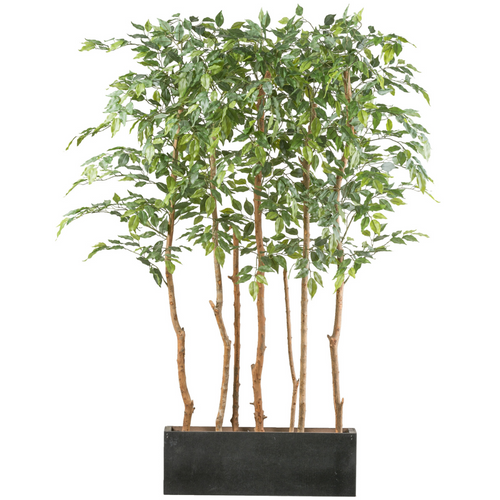 Flourify kunstplant - Ficus Benjamina ruimteverdeler - 160 cm