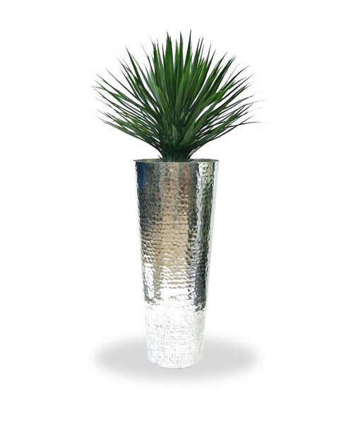 Maxifleur Yucca Rostrata kunstplant 80cm