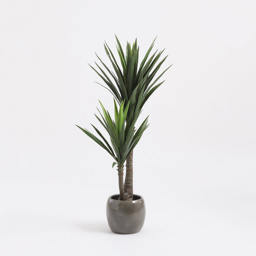 Mica Decorations Yucca Kunstplant - H120 x Ø60 cm - Groen - vtwonen shop