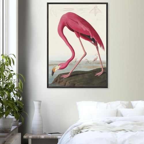 Artfulprints Poster met Lijst American flamingo   - A4 21x29.7 cm - Roze