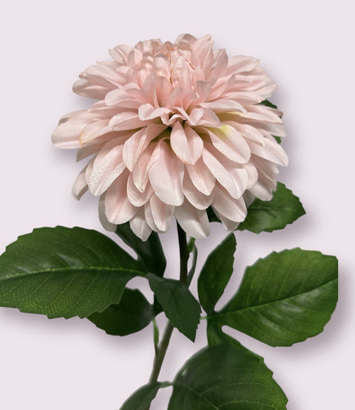 My Flowers.shop Lichtroze dahlia zijden bloem | Lengte 70 centimeter | Per stuk - vtwonen shop