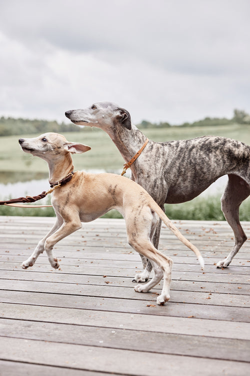 OYOY Lood Robin - leer - vtwonen shop