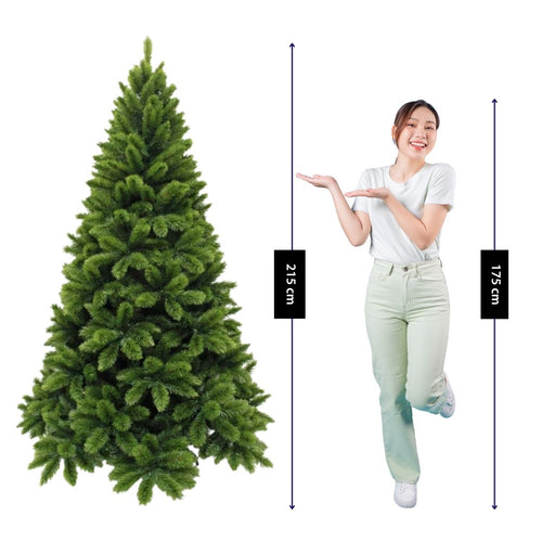 Triumph Tree Tsuga Kerstboom - Kerstversiering voor Binnen met 806 Takken - Kunstboom Rond en Groen - Naaldjes met Besneeuwd Effect - H215 x Ø137 cm -