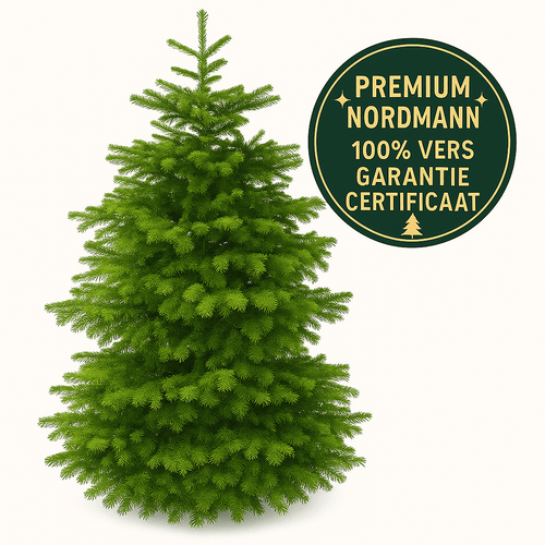 Furnilux Plant&More - Nordmann Kerstboom 300 - 350 cm - Zonder Kluit + Garantie certificaat - vtwonen shop