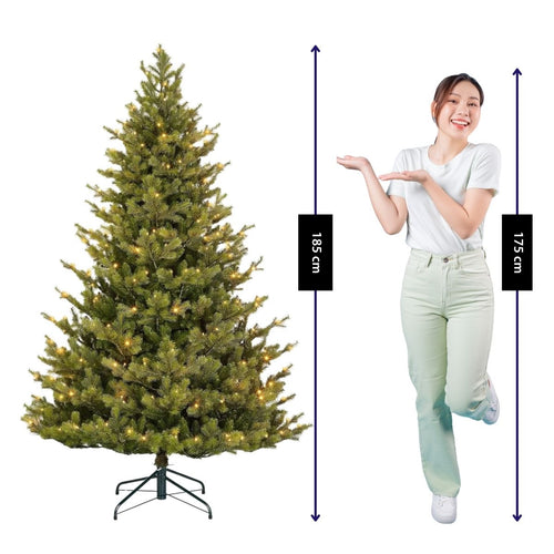 Black Box Trees Clive Kunstkerstboom met Verlichting - Kerstboom Led met 200 Warm Witte LED-lampjes - Scharnierconstructie voor Snelle Montage - H185
