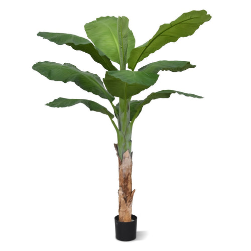 Maxifleur Banaan Royal kunstboom 165cm