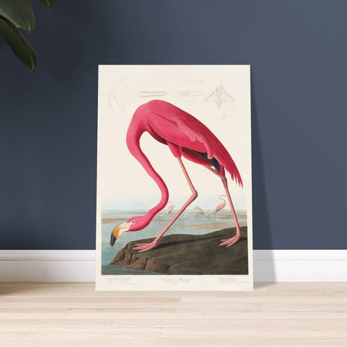 Artfulprints Poster met Lijst American flamingo   - A4 21x29.7 cm - Roze