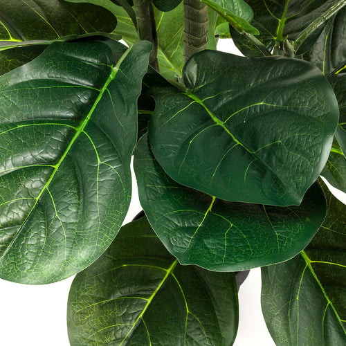 Kare Design Kunstplanten - Ficus Lyrata - 120cm