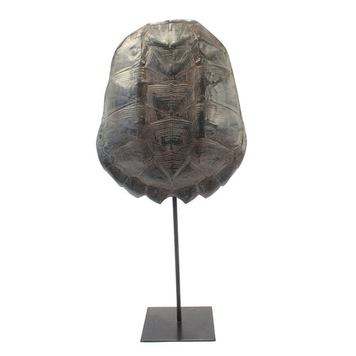 FurniLux Katana Large Brown - Schildpad - 28x12x57cm - vtwonen shop