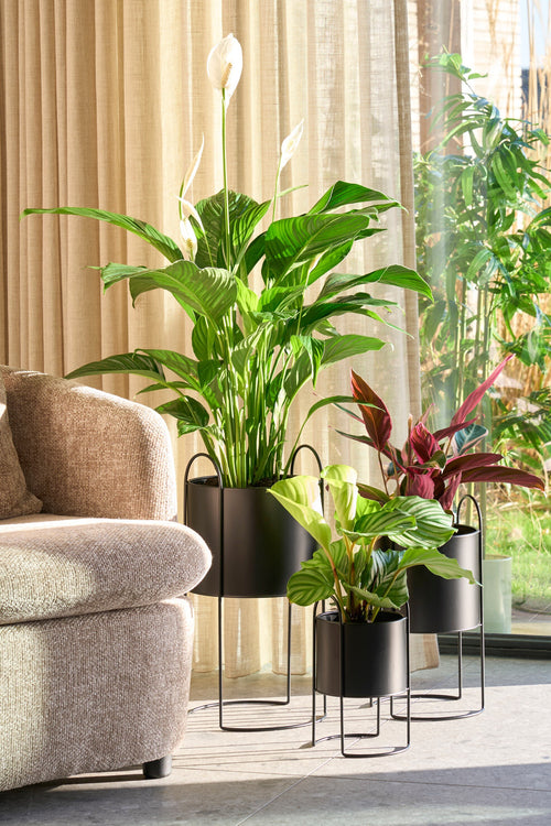 Mica Decorations Petry Bloempot op Standaard - Set van 3 - L27 x B25 x H51 cm - Metaal - Zwart - vtwonen shop