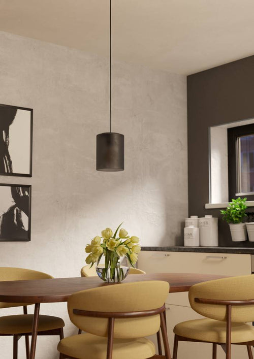 EGLO hanglamp Colomera - e27 - ø 15 cm - zwart/mat grijs