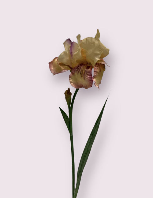 My Flowers.shop Roze iris zijden bloem | Lengte 70 centimeter | Per stuk - vtwonen shop