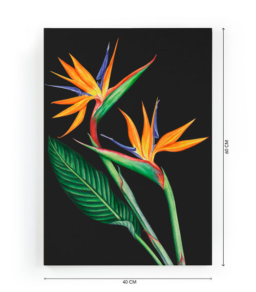 Canvas 60x40 Afdruk Paradijsvogelbloem - vtwonen shop