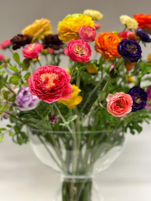 My Flowers.shop Gemengde kleuren zijden bloemen boeket Happy Ranunculus | Per boeket - vtwonen shop