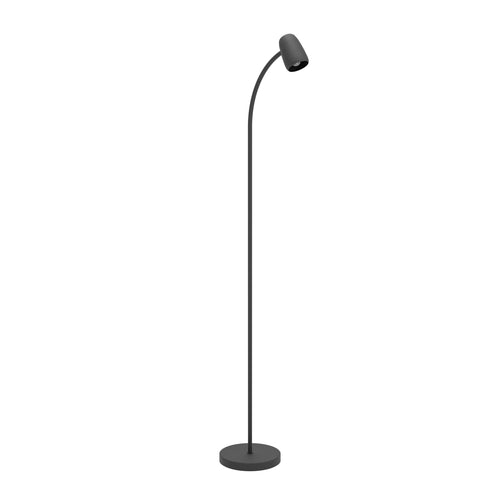 EGLO vloerlamp Carlo - 170 cm - zwart - vtwonen shop