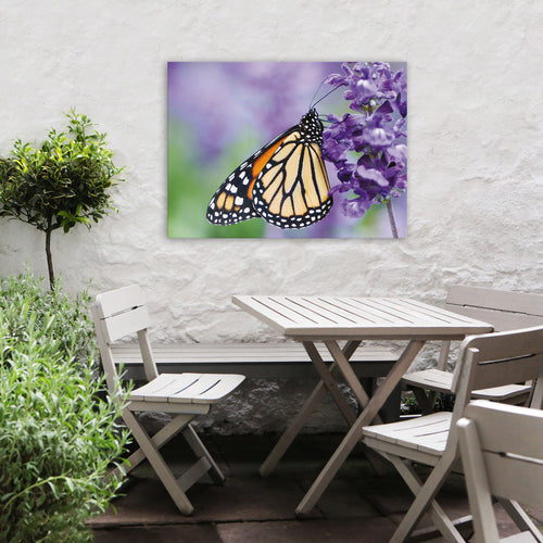Art for the Home Buitencanvas - Vlinder - 50x70cm