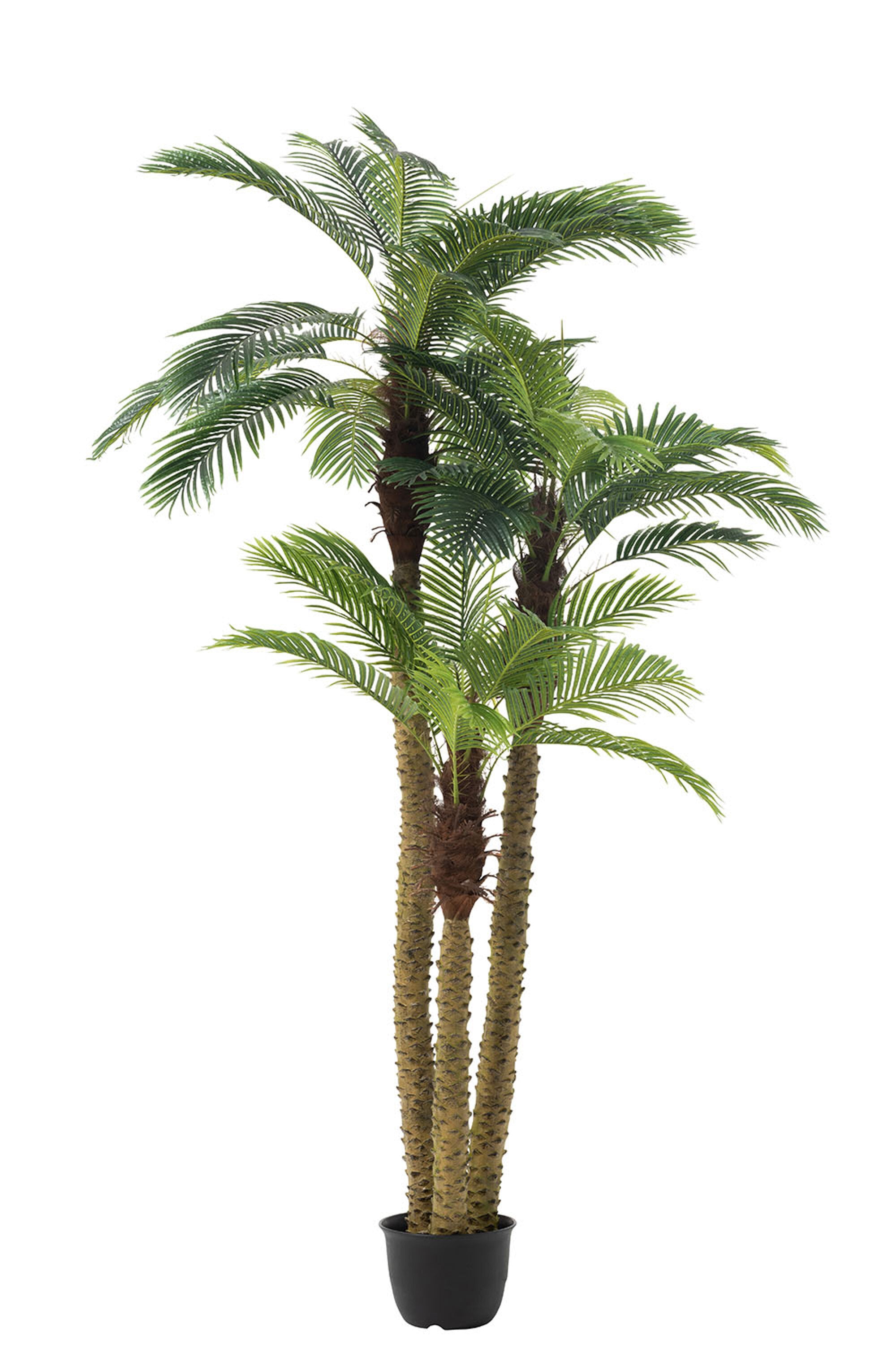 J-Line palmboom 3delig Real Touch - kunststof - groen – vtwonen shop
