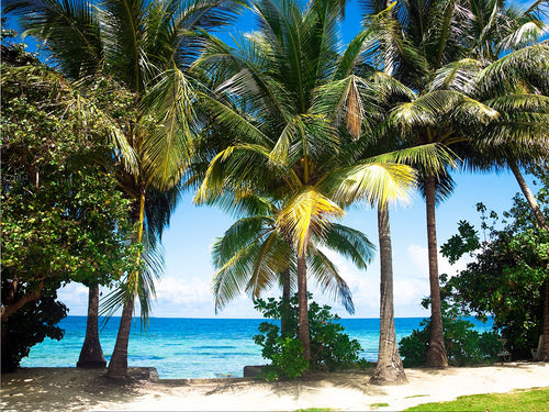Sanders & Sanders fotobehang tropisch landschap met palmbomen groen en blauw - 375 x 270 cm - 600458