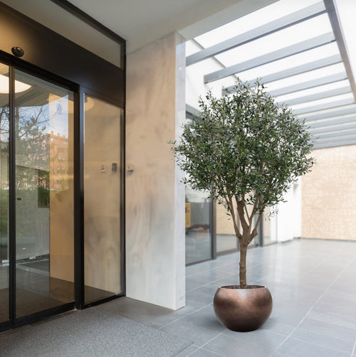 Maxifleur Olijf Kunstboom XL 250cm Deluxe