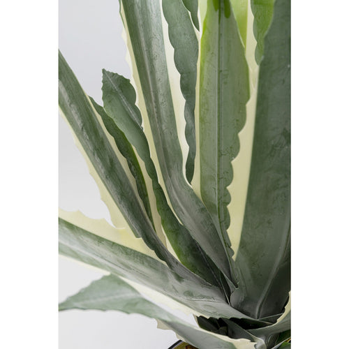 Kare Design Kunstplanten - agave - 50cm - vtwonen shop