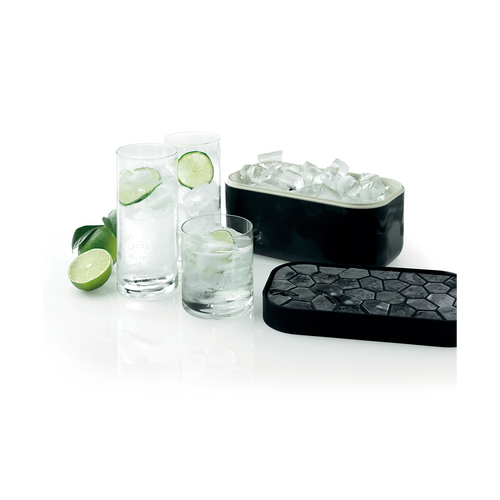 Lékué IJsblokjesvorm met bewaardoos