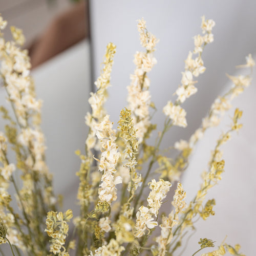 My Flowers.shop Wit gedroogde Ridderspoor | Witte Delphinium droogbloemen | Lengte ± 70 centimeter | Per bos - vtwonen shop