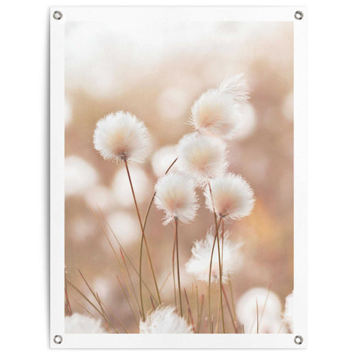 Reinders Cotton Field tuinposter -  beige - tuin - 80x60cm