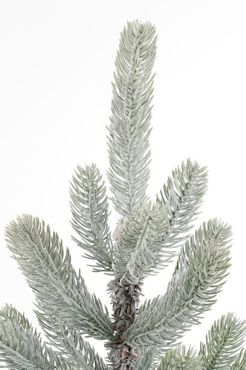 Black Box Trees Nagoya kerstboom groen frosted 212 TIPS - h120xd60cm