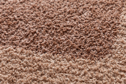 AFK Living vloerkleed Turenne - Zacht comfort voor elke dag en OEKO-TEX® Standard 100 gecertificeerd. - kastanje - 200x290 cm