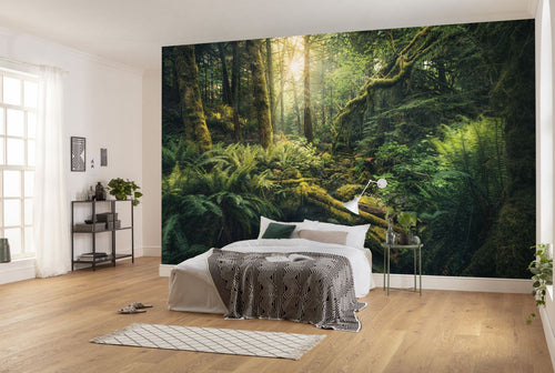 Sanders & Sanders fotobehang bos groen - 450 x 280 cm - 612622