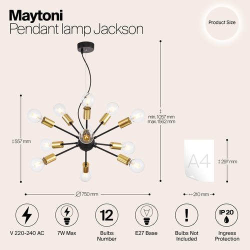 Maytoni - Hanglamp Jackson - Zwart - Ø75 - vtwonen shop