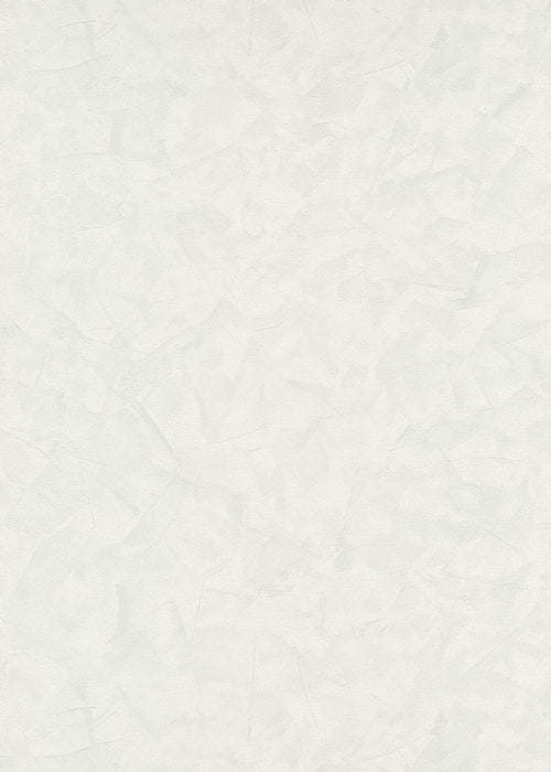 Erismann behang effen wit - 53 cm x 10.05 m - 661520 - vtwonen shop