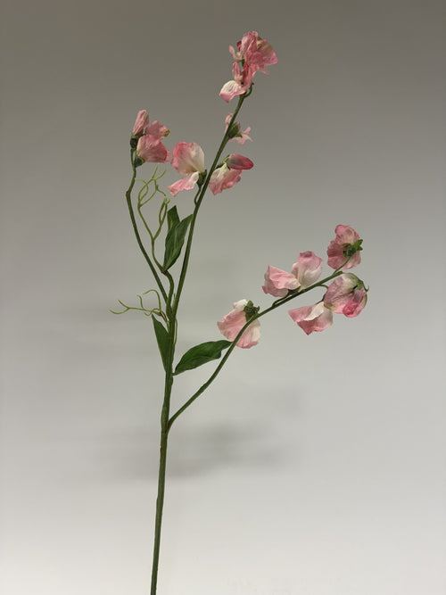 My Flowers.shop Roze lathyrus zijden bloem | Lengte 58 centimeter | Per stuk - vtwonen shop