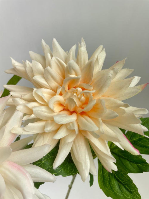 My Flowers.shop Gemengde kleuren dahlia zijden bloem | Lengte 67 centimeter | Per stuk - vtwonen shop