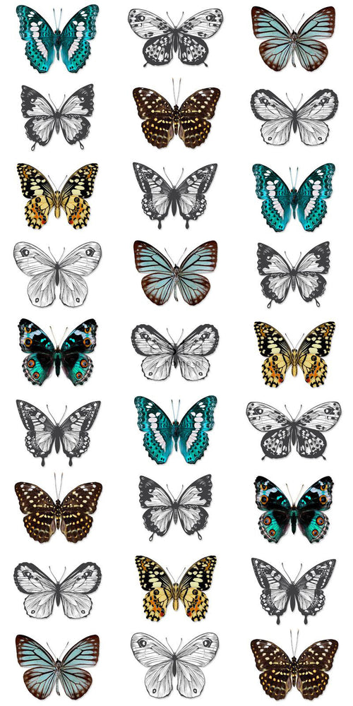 ESTAhome XXL behang vlinders turquoise, zwart en wit - 50 x 900 cm - 158507 - vtwonen shop