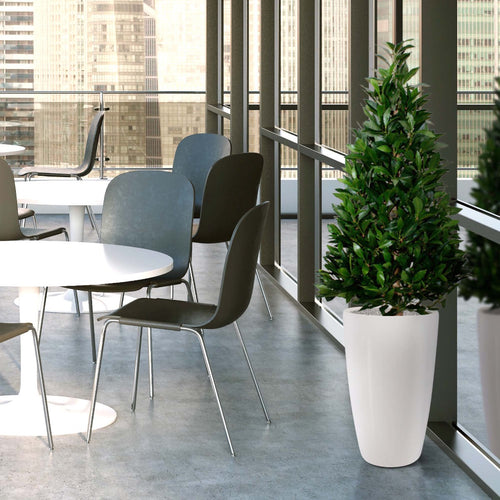 Maxifleur Laurier Tower kunstplant 115cm