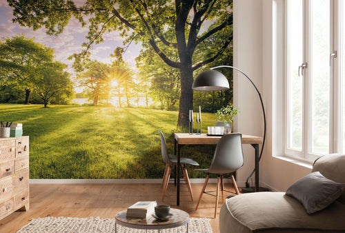 Sanders & Sanders fotobehang Golden Moment groen - 400 x 250 cm - 612385